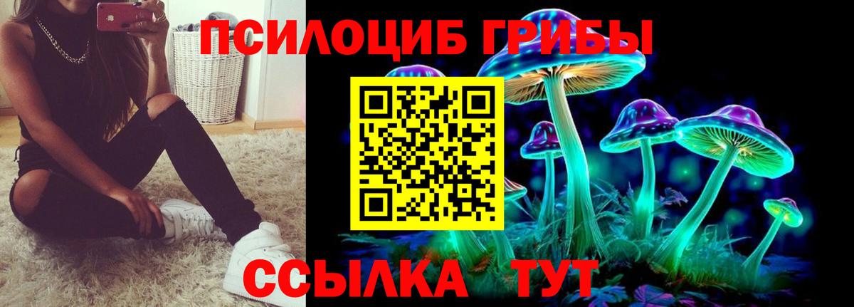 Псилоцибиновые грибы Cubensis  Псилоцибиновые грибы Psilocybine cubensis  Вход с VPN  Усолье-Сибирское 